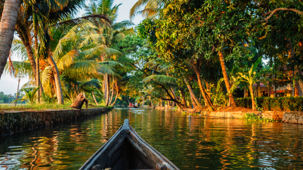 The Ultimate Kerala Backwaters Experience: A Houseboat Journey