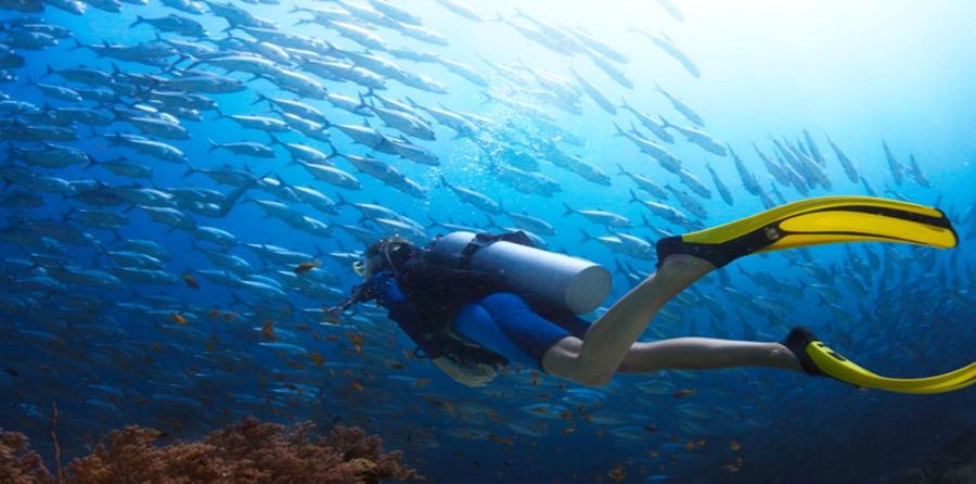 The Best Underwater Diving Locations Beyond the Andamans in India