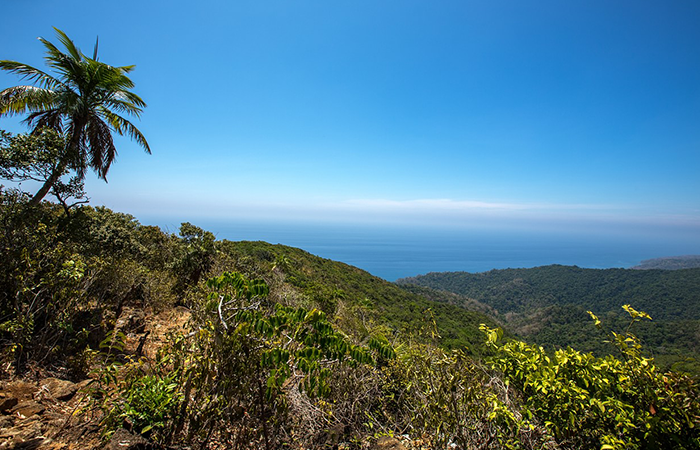 Best Things to See and Do in North Middle Andaman