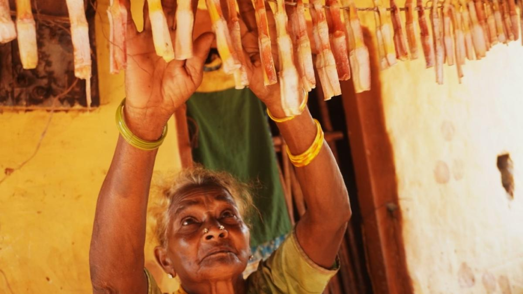 Threads of Tradition: The Artistry of the Kondadora and Konda Reddy Communities