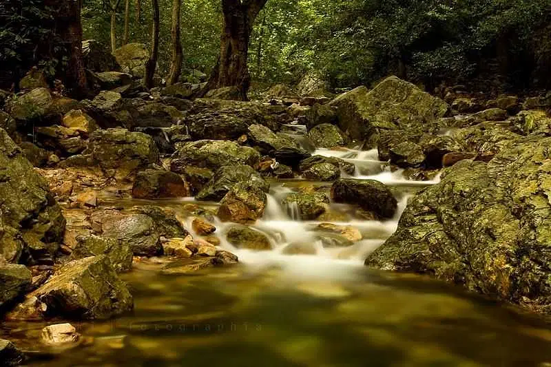The Unique Eco-Tourism Potential of Kaundinya Wildlife Sanctuary